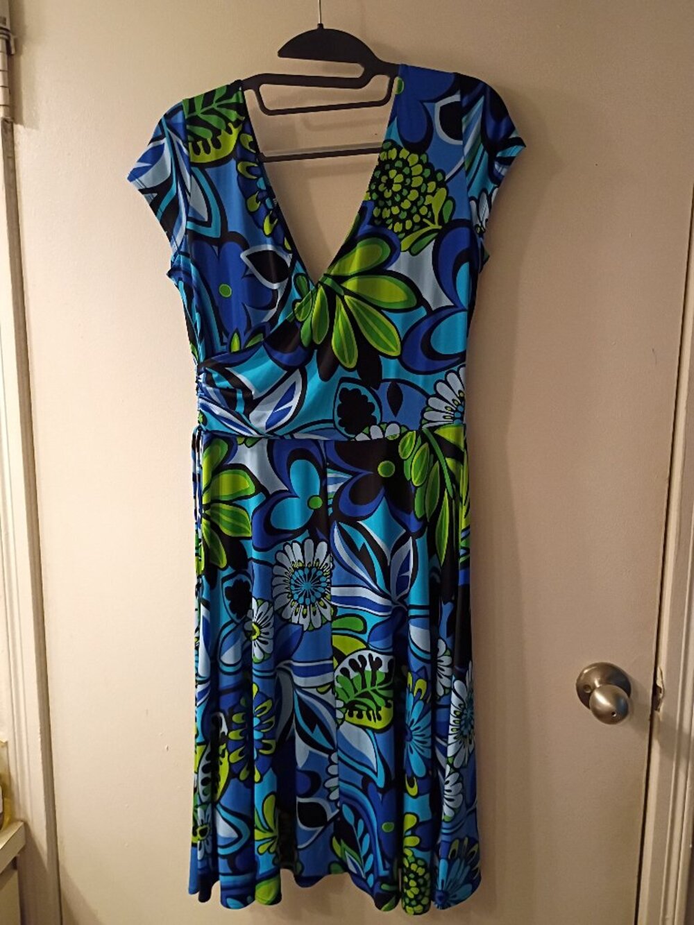 Lizzatti Petite Women's Blue & Green Floral Dress w/Bold Mod Print Size 10P